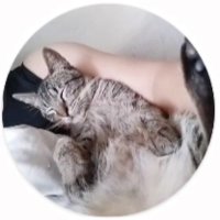 zae. (@_lovehg) 's Twitter Profile