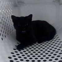 spinko (@ndhe175) 's Twitter Profile