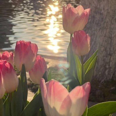 NKETBII's profile picture. 