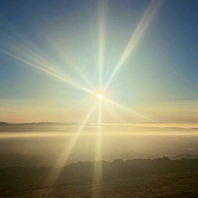 rahijo3's profile picture. • Common citizen that loves 📚 🎶 🖼 🧬