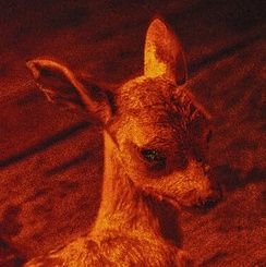 jonasbutpriv's profile picture. 
