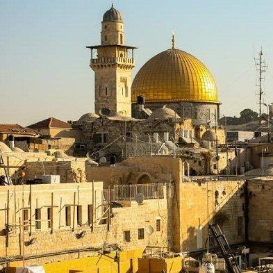 RZulKurniawan1's profile picture. 1991 IAFA.