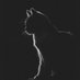 Cath 🖤 (@cathonchain) Twitter profile photo Cath 🖤 (@cathonchain) Twitter profile photo