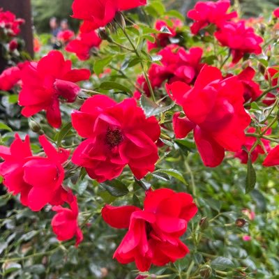 maymz6's profile picture. Travel Fitness & Wellness History Science News Health Space News