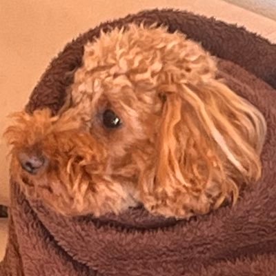 ryoma2414's profile picture. 