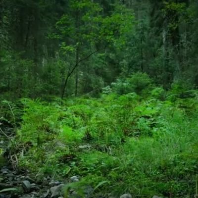 Bettipsug256's profile picture. 