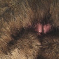 𝘵𝘢𝘭𝘶 (@tlu_37) 's Twitter Profile