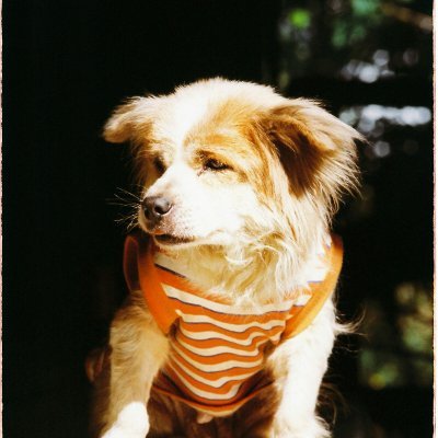 10UWarlord's profile picture. From 10U to A7, A8 loading…
90s-born middle-aged on-chain data analyst
Loves to dabble in Memecoins as a wild crypto enthusiast in Web3