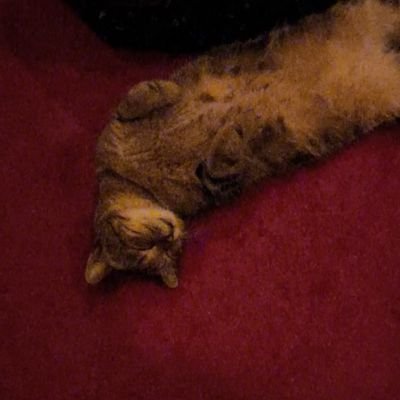 cdid414120's profile picture. 