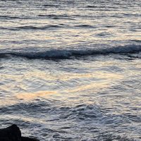 青茶 (@learnlearnrules) 's Twitter Profile
