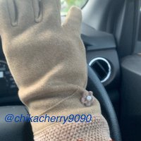 chika cherry (@chikacherry9090) 's Twitter Profile Photo chika cherry (@chikacherry9090) 's Twitter Profile Photo