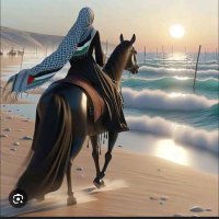 Noor (@nasreen68965) 's Twitter Profile