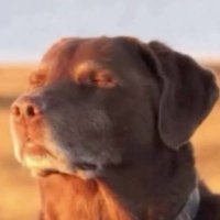 Yiğit Aras Tunalı (@tunaliaras) 's Twitter Profile