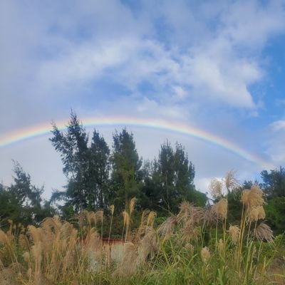 am0859life's profile picture. バスケ🏀