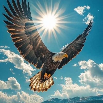 astralistar23's profile picture. 