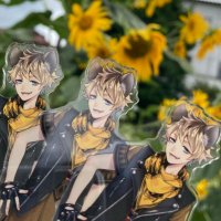 せぃ@取引垢 (@hmr_0808) 's Twitter Profile