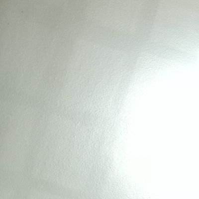 morbotorrote's profile picture. discreto morboso mente abierta al ote trrc