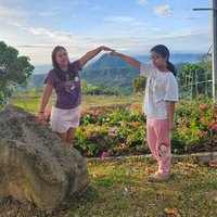 Dream Home Diaries (@sofia_dreamhome) 's Twitter Profile