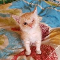 KL deus (@kl_deuzzz) 's Twitter Profile
