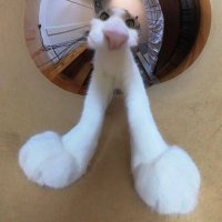 阿梦到处跑 (@www567944) 's Twitter Profile