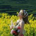Lily Tree🇨🇳(互fo回关100) (@camphortree17) Twitter profile photo Lily Tree🇨🇳(互fo回关100) (@camphortree17) Twitter profile photo