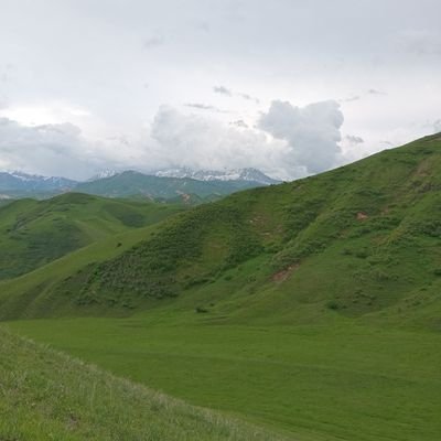 ErkebaevUl61522's profile picture. 