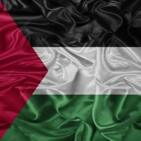 SAIF AL-MUSALHI (@loolsaif) 's Twitter Profile