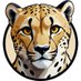 CheetahSwap (@cheetahswapbsc) Twitter profile photo CheetahSwap (@cheetahswapbsc) Twitter profile photo