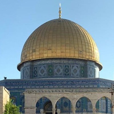 hamad27971160's profile picture. 