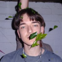 Daphnie (@probablydaphnie) 's Twitter Profile