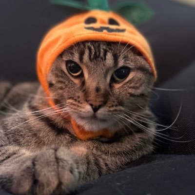 naelbahhur's profile picture. 