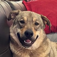 Smallbatchsam (@smallbatchsam) 's Twitter Profile