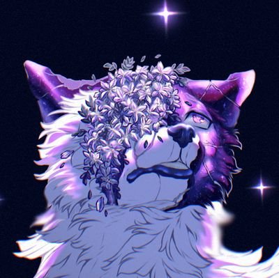 ♡Nita🇺🇦さんのプロフィール画像