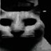anonymous (@anonymous768008) Twitter profile photo anonymous (@anonymous768008) Twitter profile photo