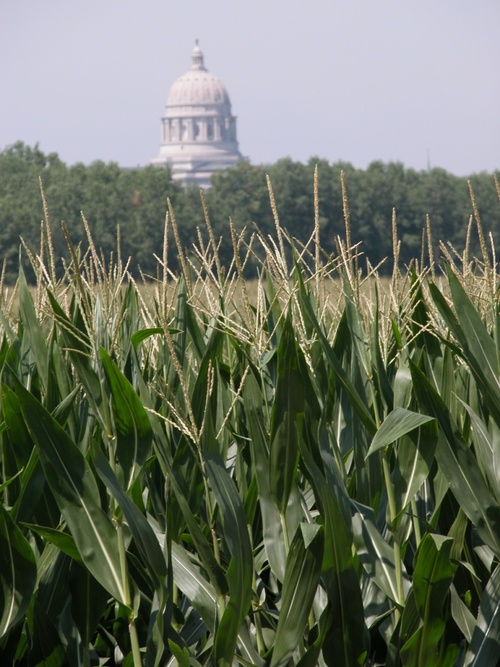 CornRoots's profile picture. Grassroots advocacy resources for Missouri corn farmers. Also follow @MissouriCorn