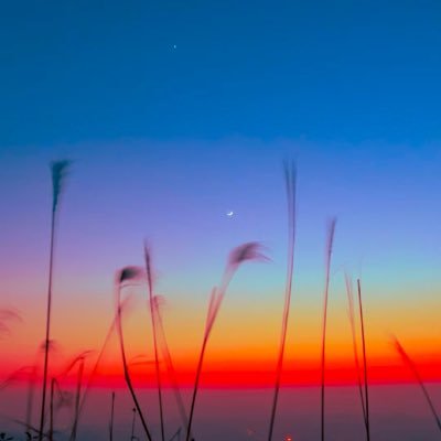 MIqi3z's profile picture. 