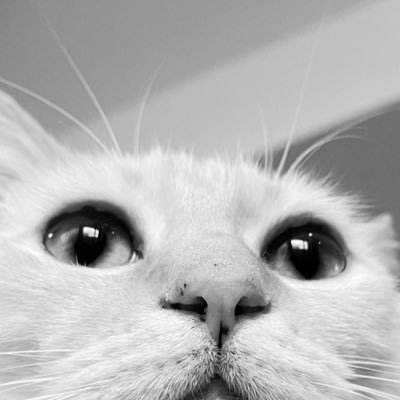 you_love_thanks's profile picture. 