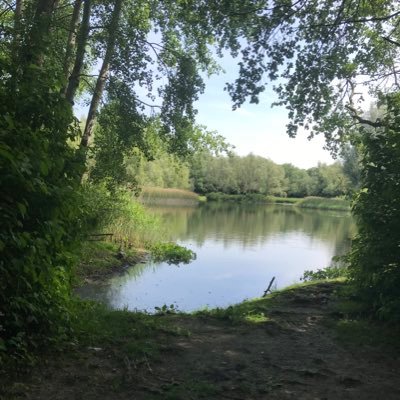 SteveAllum156's profile image