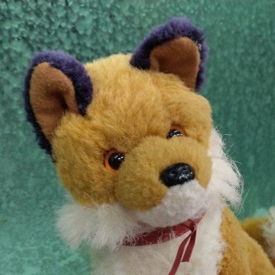 tabininnjinn's profile picture. 日々是帰還