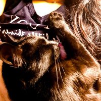 Jeanne🇩🇪🕊 (@maat25223) Twitter profile photo