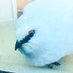 blanc_pointe (@blanc_pointe) Twitter profile photo blanc_pointe (@blanc_pointe) Twitter profile photo