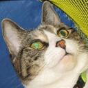 Lane Vance - @Packycat - Twitter