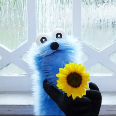 pooooooh's profile picture. 