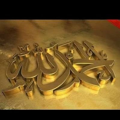 Atwar1442659's profile picture. 