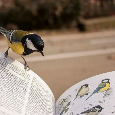 Onecontrol8's profile picture. 