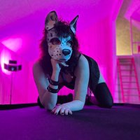 ๐พMazikeen๐พ (@maziikeen666) 's Twitter Profile Photo ๐พMazikeen๐พ (@maziikeen666) 's Twitter Profile Photo