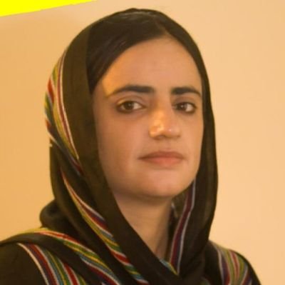 KamranAsla1538's profile picture. Student | @BSCpunjab