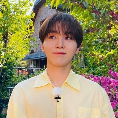 🪷 ₊ ‧ .. {fan-acc! her love-(i)ly eyes, like an #세븐틴 angelic clad in wings! ₊˚✧