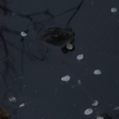 Kooperman05's profile picture. 