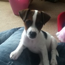 christy orr - @christyorr3003 - Twitter